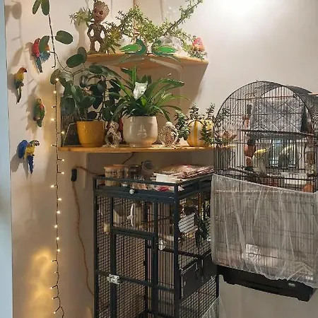 Private Double Bedroom In Front Of The Port - Homestay szállás